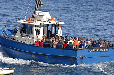 Tourists aboard the Dale Princess, Martins Haven, Pembrokeshire, Wales, UK, Europe