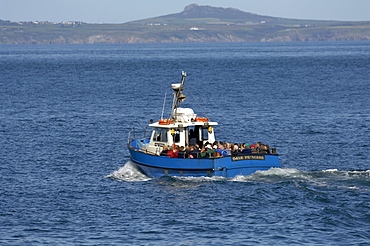 Tourists aboard the Dale Princess, Martins Haven, Pembrokeshire, Wales, UK, Europe