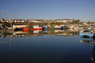 Fishing trawlers, Milford Haven Docks, Milford Haven, Pembrokeshire, Wales, UK, Europe