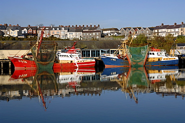 Fishing trawlers, Milford Haven Docks, Milford Haven, Pembrokeshire, Wales, UK, Europe