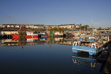 Fishing trawlers, Milford Haven Docks, Milford Haven, Pembrokeshire, Wales, UK, Europe