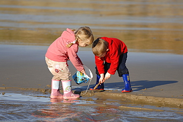 Young girl and boy playing in stream, Whitesands Beach, St Davids, Pembrokeshire, Wales, UK, Europe