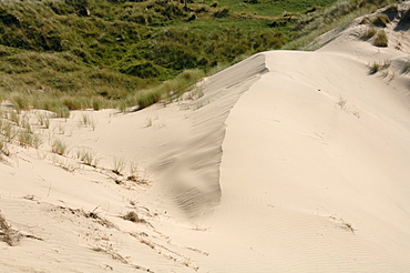 Ynyslas dunes, National Nature Reserve, Ceredigion, Wales, UK, Europe