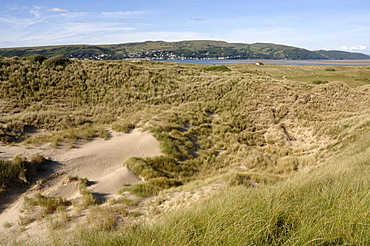 Ynyslas dunes, National Nature Reserve, Ceredigion, Wales, UK, Europe