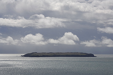 Skokholm Island, Pembrokeshire, Wales, UK, Europe