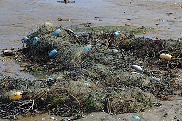 Gill net washed up on Angle Bay, Milford Haven, Pembrokeshire, Wales, UK, Europe