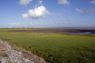 Seawall, saltmarsh, Goldcliff, Gwent Levels, Newport, Wales, UK, Europe