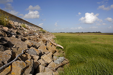 Seawall, saltmarsh, Goldcliff, Gwent Levels, Newport, Wales, UK, Europe