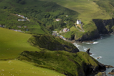 Llangranog, Wales, UK, Europe