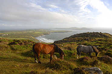 View of Whitesands Bay and Ramsey Island from Carn Llidi, Wales, UK