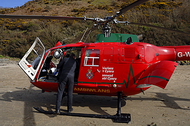 Wales Air Ambulance helicopter and crew rescuing a casualty at Solva harbour, Solva, Pembrokeshire, Wales, UK, Europe