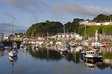 Porthmadog Marina, Gwynedd, Wales, UK, Europe