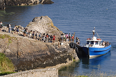 People boarding the Dale Princess Skomer Ferry, Martins Haven, Pembrokeshire, Wales, UK, Europe