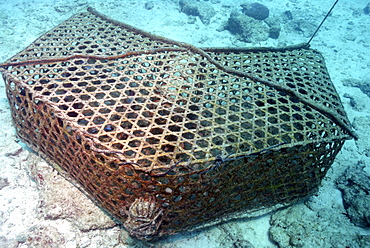 Fish trap, Mahe, Seychelles, Indian Ocean