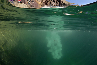 Coasteering, St. Non's Bay, Pembrokeshire, Wales, UK, Europe       (rr)