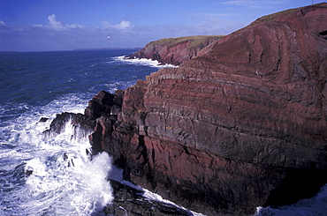 Fold in Old Red Sandstone, St Anne's Head, Pembrokeshire, Wales, UK, Europe