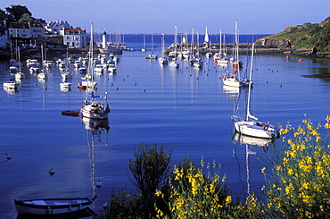 Harbour, Sauzon, France