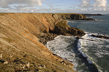 Deer Park, Martins Haven, Pembrokeshire, Wales, UK, Europe