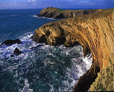 Deer Park, Martins Haven, Pembrokeshire, Wales, UK, Europe