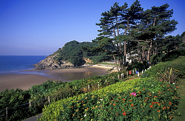 Caswell Bay, Gowergower        (rr)