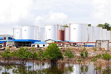 Factory for processing palm oil in mangroves, Balikpapan Bay, East Kalimantan, Borneo, Indonesia, Southeast Asia, Asia