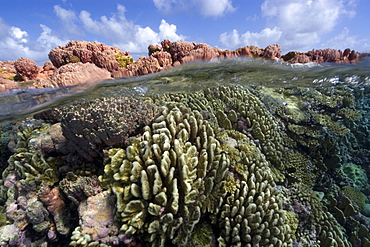 Split image of pristine coral reef and sky, Rongelap, Marshall Islands, Micronesia, Pacific