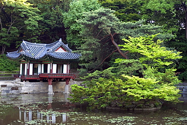 Secret garden with pagoda at Changdeokgung Palace, Seoul, South Korea, Asia