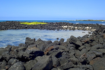 Bay near Kailua Kona, Big Island, Hawaii, United States of America, Pacific