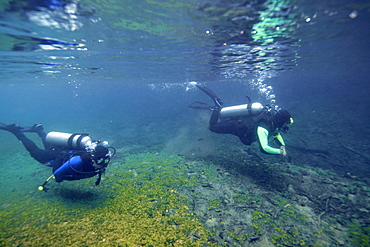 Scuba divers underwater, Prata River, Bonito, Mato Grosso do Sul, Brazil, South America