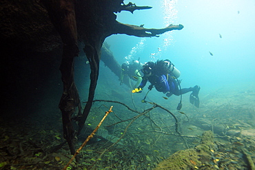 Scuba divers underwater, Prata River, Bonito, Mato Grosso do Sul, Brazil, South America