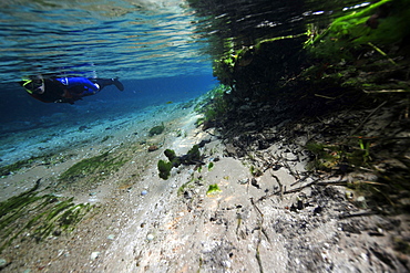 Diver enjoys underwater landscape of Sucuri river, Bonito, Mato Grosso do Sul, Brazil, South America