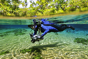 Underwater photographer explores the underwater landscape floating down Olho D'Agua River, Bonito, Mato Grosso do Sul, Brazil, South America