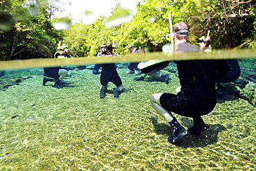 Free diver gets ready to explore the underwater landscape floating down Olho D'Agua and Prata rivers, Bonito, Mato Grosso do Sul, Brazil, South America