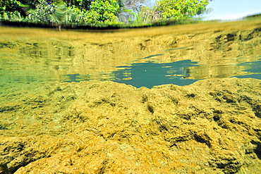 Water reflection at Balneario Municipal, Formoso River, Bonito, Mato Grosso do Sul, Brazil, South America