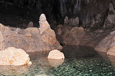 Cone forest inside the lake, Anhumas Abyss, Bonito, Mato Grosso do Sul, Brazil, South America