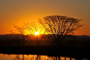 Sunset at Pantanal, Mato Grosso do Sul, Brazil, South America