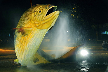 Fountain with statue of a Characin (Piraputanga) (Brycon hilarii), in the central square at night, Bonito, Mato Grosso do Sul, Brazil, South America