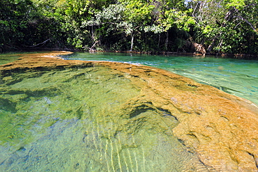 Balneario Municipal, Formoso River, Bonito, Mato Grosso do Sul, Brazil, South America