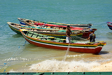 Fishermen seining the net at Cureau river, Camocim, Ceara, Brazil, South America