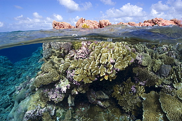 Split image of pristine coral reef and sky, Rongelap, Marshall Islands, Micronesia, Pacific