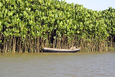 Barreirinhas, Maranhao, Brazil, South America