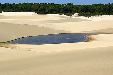 Lake in the sand dunes from Pequenos Lencois Maranhenses, between the ocean and Preguicas river, Barreirinhas, Maranhao, Brazil, South America