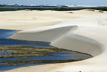 Sand dunes and lake of Lencois Maranhenses National Park, Santo Amaro, Maranhao, Brazil, South America