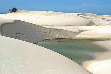 Sand dunes and lake of Lencois Maranhenses National Park, Santo Amaro, Maranhao, Brazil, South America