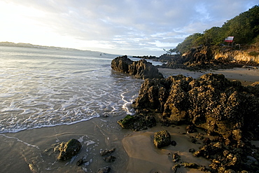 Ponta Negra beach, Natal, Rio Grande do Norte, Brazil, South America