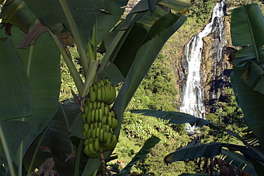 Waterfall near Visconde do Rio Branco, Minas Gerais, Brazil, South America