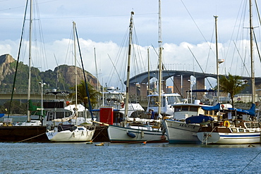 Boats moored at marina with Third Bridge in the background, Vitoria, Espirito Santo, Brazil, South America