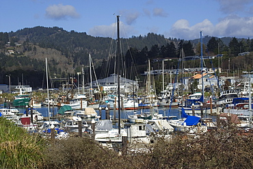 Boats at Brookings Marina, Oregon, United States of America, North America