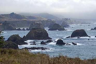 Rugged Northern California coastline, United States of America, North America