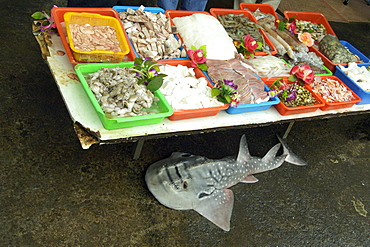 Bowmouth guitarfish (shark ray) (Rhina ancylostoma) and seafood for sale at Nanfang'ao fish market, Suao, Taiwan, Asia